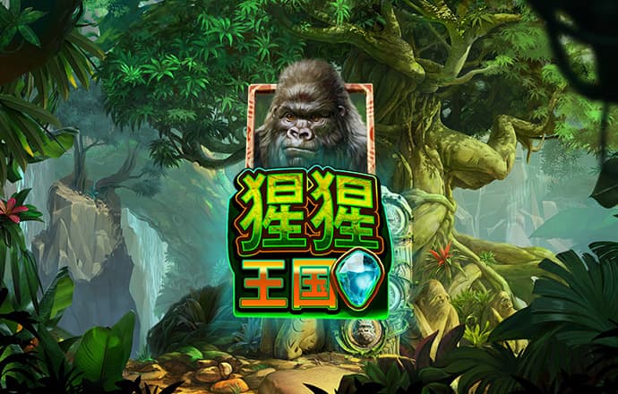 55世纪官网下载彩票